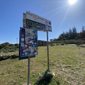 XVI Sardinia Run 2023